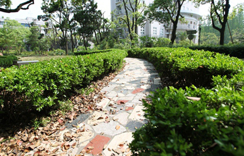 大理師范高等?？茖W(xué)校附屬中學(xué)
