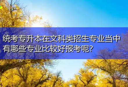 統(tǒng)考專升本在文科類招生專業(yè)當中有哪些專業(yè)比較好報考呢？