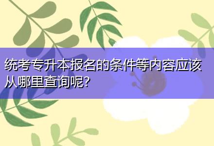 統(tǒng)考專升本報(bào)名的條件等內(nèi)容應(yīng)該從哪里查詢呢？