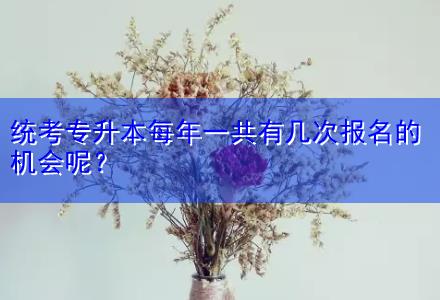 統(tǒng)考專升本每年一共有幾次報(bào)名的機(jī)會(huì)呢？
