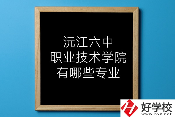 湖南沅江六中職業(yè)技術(shù)學(xué)院有哪些專(zhuān)業(yè)？