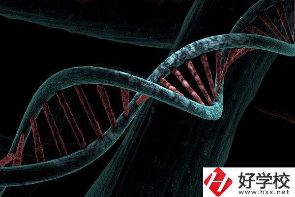 溆浦縣職業(yè)中等專業(yè)學(xué)校宿舍怎么樣？
