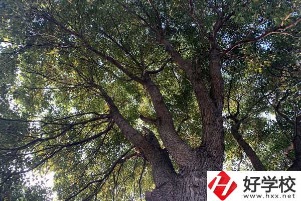 湖南省商業(yè)職業(yè)中專學(xué)校在哪里？升學(xué)就業(yè)怎么樣？