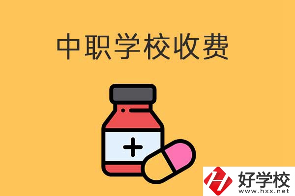 衡陽的中職學校怎么收費的？費用貴不貴？