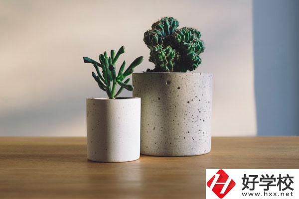 芷江民族職業(yè)中專招生專業(yè)有哪些？收費(fèi)標(biāo)準(zhǔn)如何？
