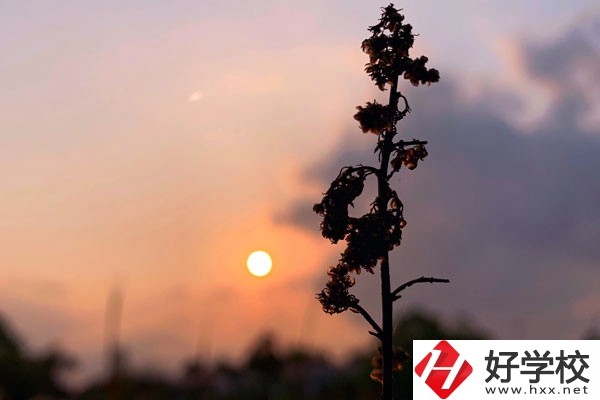 邵陽哈博職業(yè)中專學(xué)校好不好？有什么辦學(xué)特色？