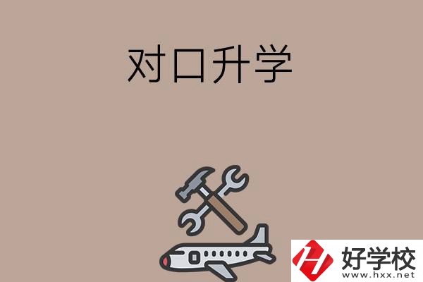 職高學(xué)生參加湖南省對口升學(xué)，有什么本科可以報考？