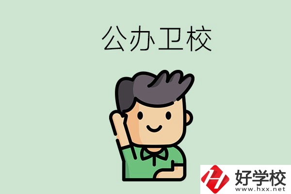 湖南的公辦衛(wèi)校有哪些？這兩所學校值得推薦！