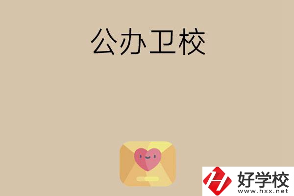 想在湖南上公辦衛(wèi)校？這所學(xué)校值得一看