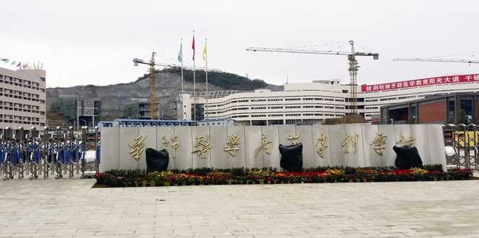 畢節(jié)醫(yī)藥高等專科學校校門