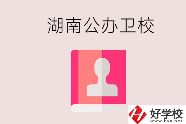 想在湖南上公辦衛(wèi)校可以選擇哪些學(xué)校？
