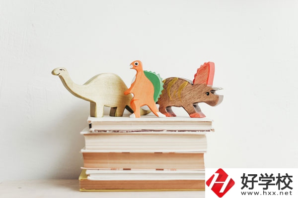 懷化啟航衛(wèi)生學(xué)校辦學(xué)地址在哪兒？