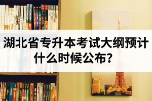 湖北省專升本考試大綱預(yù)計什么時候公布？現(xiàn)階段怎么備考比較好？