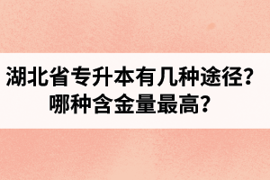 湖北省專升本有幾種途徑？哪種含金量最高？