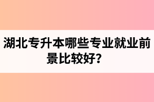 湖北專升本哪些專業(yè)就業(yè)前景比較好？
