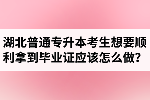 湖北普通專升本考生想要順利拿到畢業(yè)證應(yīng)該怎么做？