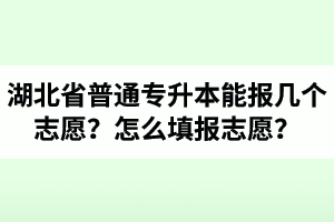湖北省普通專升本能報(bào)幾個(gè)志愿？怎么填報(bào)志愿？
