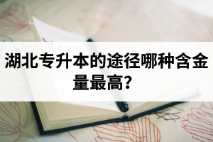 湖北普通專(zhuān)升本英譯漢段落翻譯分析應(yīng)該怎么做？