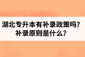湖北專升本有補(bǔ)錄政策嗎？補(bǔ)錄原則是什么？