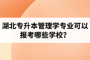 湖北專升本管理學(xué)專業(yè)可以報考哪些學(xué)校？屬于管理學(xué)的專業(yè)有哪些？