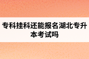 ?？茠炜七€能報(bào)名湖北專升本考試嗎？在哪里能獲取最新的專升本資訊？