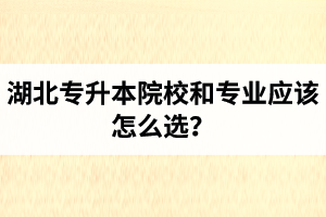 湖北專升本院校和專業(yè)應(yīng)該怎么選？公辦院校和民辦院校差別大嗎？