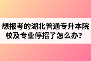 想報(bào)考的湖北普通專升本院校及專業(yè)停招了怎么辦？