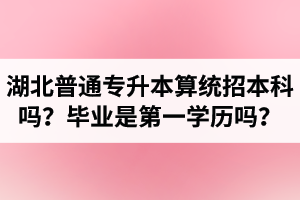 湖北普通專升本算統(tǒng)招本科嗎？專升本學(xué)歷是第一學(xué)歷嗎？