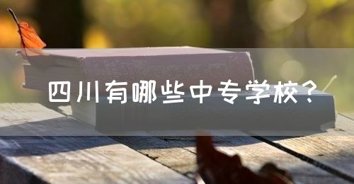 四川有哪些中專學校？(圖1)