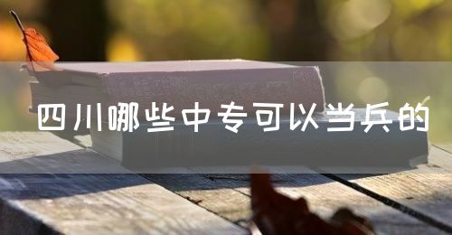 四川哪些中?？梢援敱?圖1)