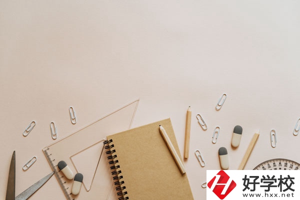 衡陽計(jì)算機(jī)學(xué)校計(jì)算機(jī)專業(yè)好不好？