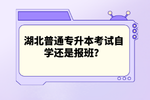 湖北普通專升本考試自學還是報班？
