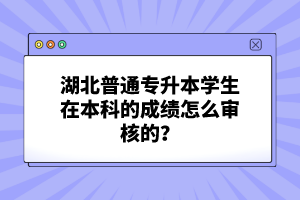 湖北普通專升本學生在本科的成績怎么審核的？