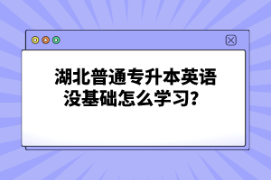 湖北普通專升本英語沒基礎(chǔ)怎么學(xué)習(xí)？