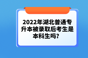 2022年湖北普通專升本被錄取后考生是本科生嗎？