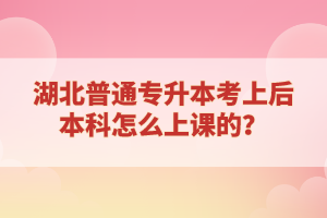 湖北普通專升本考上后本科怎么上課的？