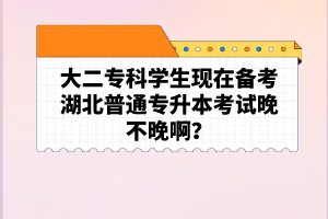 大二?？茖W(xué)生現(xiàn)在備考湖北普通專升本考試晚不晚啊？