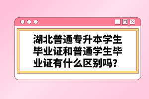 湖北普通專升本學(xué)生畢業(yè)證和普通學(xué)生畢業(yè)證有什么區(qū)別嗎？