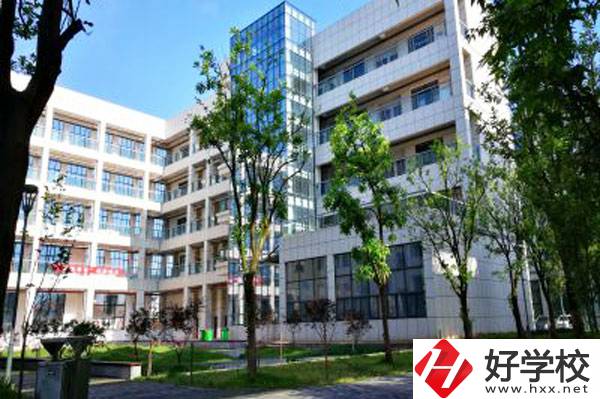 常德技師學(xué)院有哪幾個(gè)院系？師資力量怎么樣？
