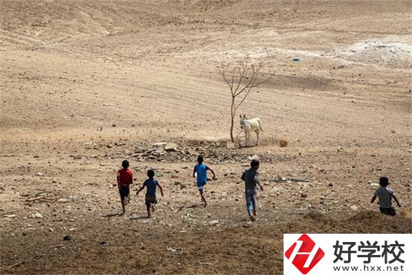 張家界少數(shù)民族加分政策是什么？中專升大專加分嗎？