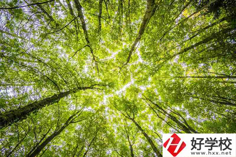 湘西州有哪些公辦中職學(xué)校？