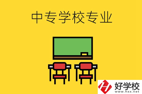 湖南的中專學(xué)校有哪些專業(yè)好就業(yè)？
