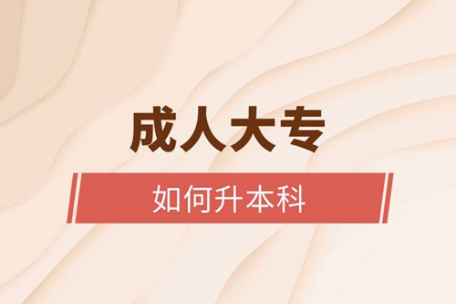 成人大專(zhuān)如何升本科