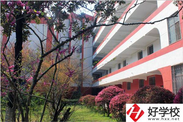婁底有哪些技校？哪一所比較好？