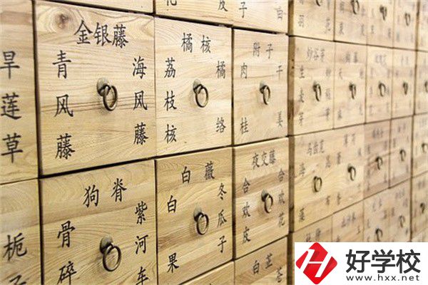 湖南省哪些中職有中藥專業(yè)？