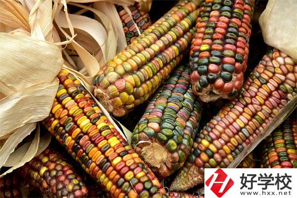 岳陽(yáng)中職學(xué)校哪些專業(yè)好？有什么學(xué)校推薦？