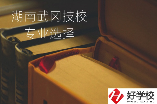 湖南武岡技校怎么樣？有哪些專業(yè)可以選擇？