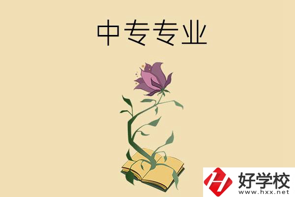 在張家界讀中專，學(xué)什么專業(yè)比較好？