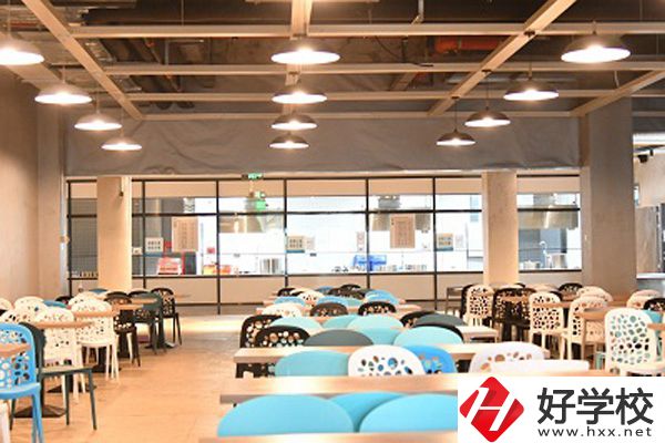 長沙湘麓醫(yī)藥中等職業(yè)技術(shù)學(xué)校收費標準如何？