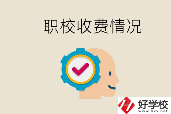 湖南的職校是怎么收費(fèi)的？民辦學(xué)校一年學(xué)費(fèi)要多少？